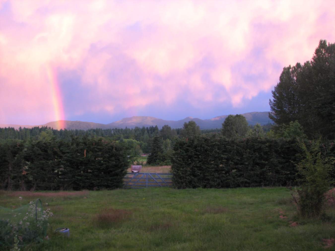 Beautiful Sunset June 17, 2016 049.JPG