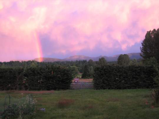 Beautiful Sunset June 17, 2016 048.JPG