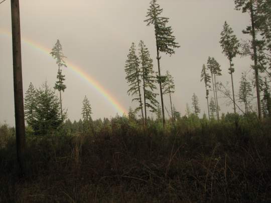 Downloaded  June21,2015 023.JPG