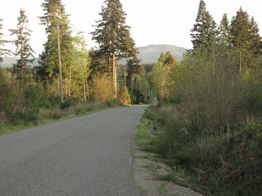 Downloaded  June21,2015 078.JPG